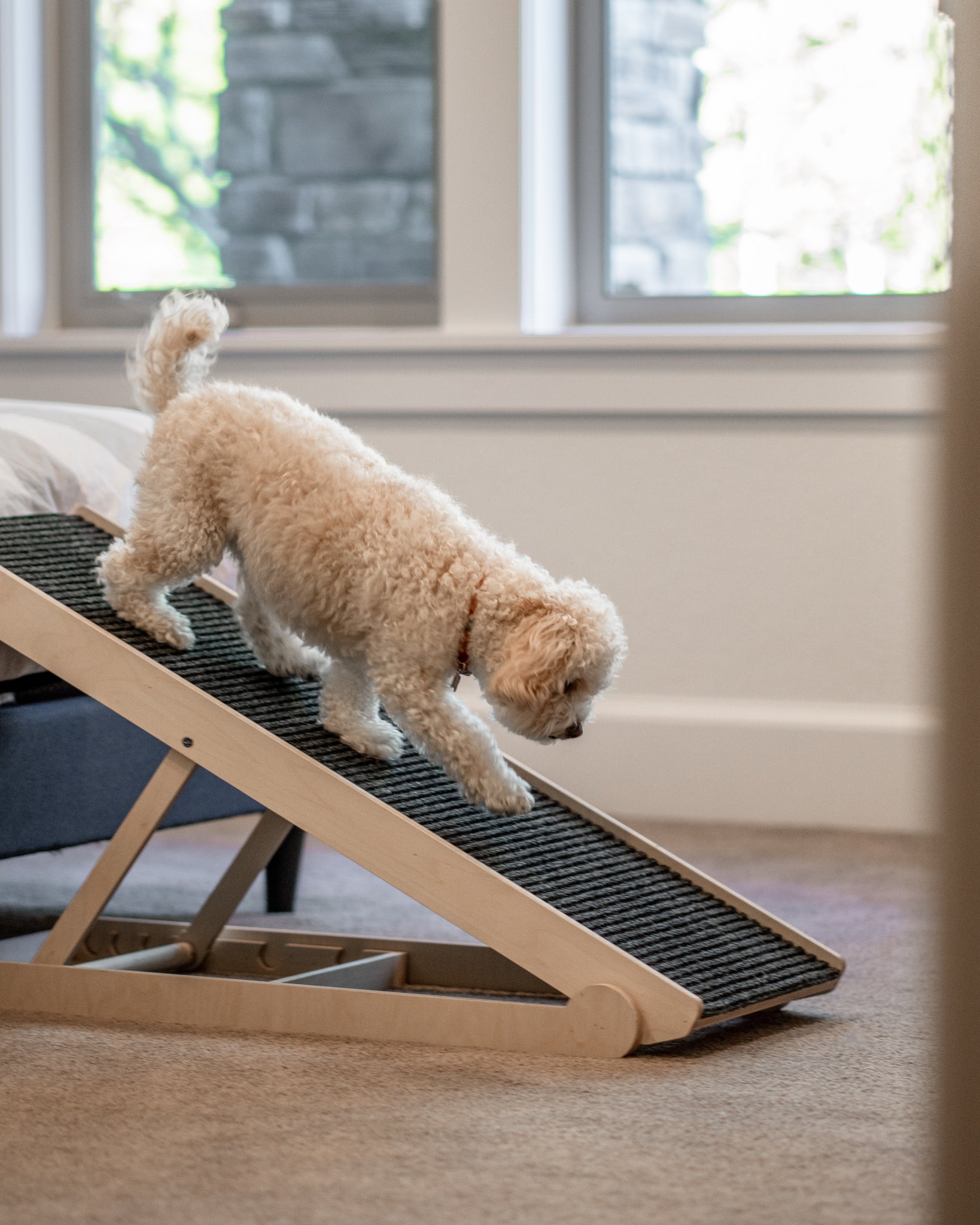 Dog Ramp for Couch or Bed - 14" to 24" Couch Dog Ramp - Holds 250LBs and Works for Dogs or Cats