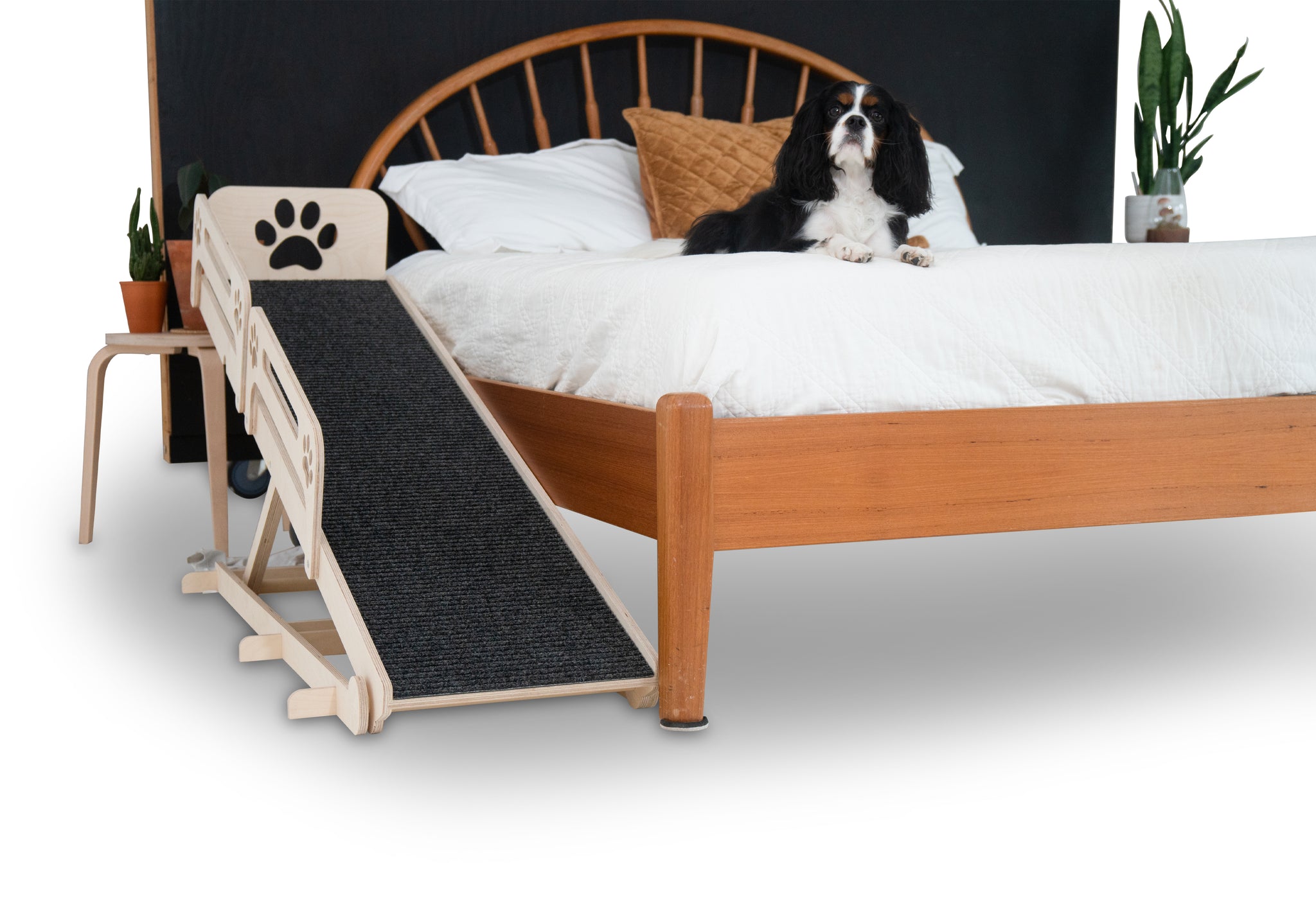 Dog Ramp for Bed with Rails - 14